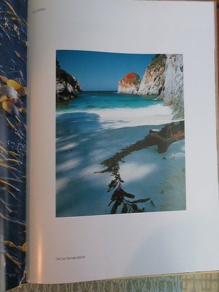 Pacific Light